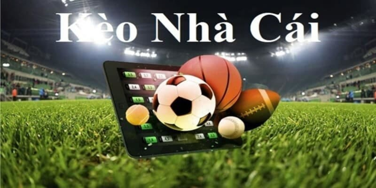 Trải Nghiệm Cá Cược Thể Thao Hấp Dẫn Tại 8xbet - Nơi Biến Đam Mê Thành Cơ Hội Thắng Lớn