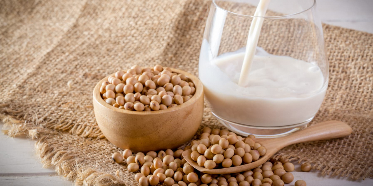 Soya Milk Manufacturing Plant Project Report 2024: Manufacturing Process, Materials Cost and Requirements