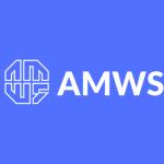 amws group