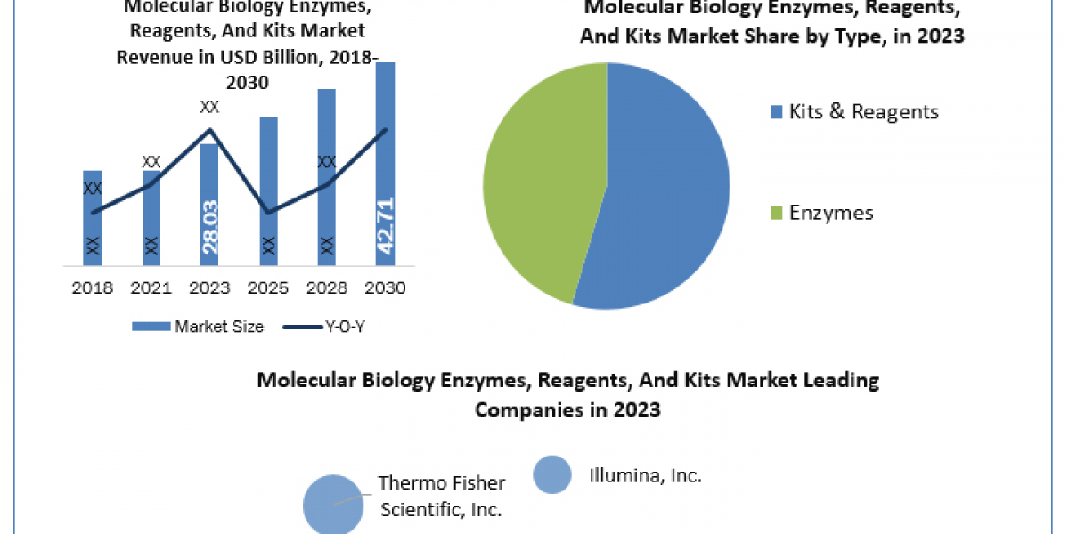 Molecular Biology Enzymes, Reagents, and Kits Industry Size and Share Analysis to 2030