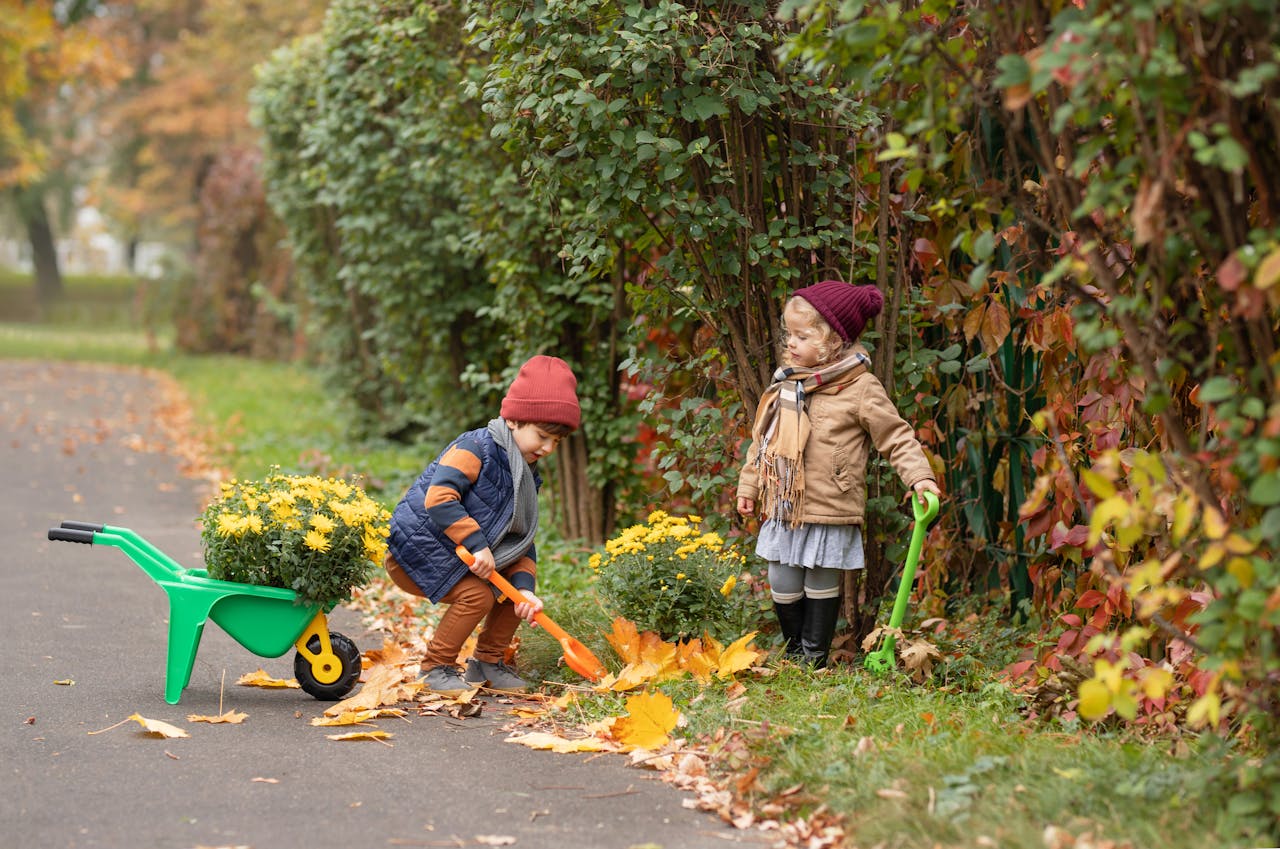 Fall Cleanup Guide: Essential Tasks for a Healthy Yard