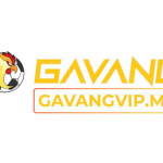 GAVANGvip me