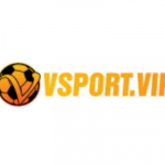 Vsport Bz1