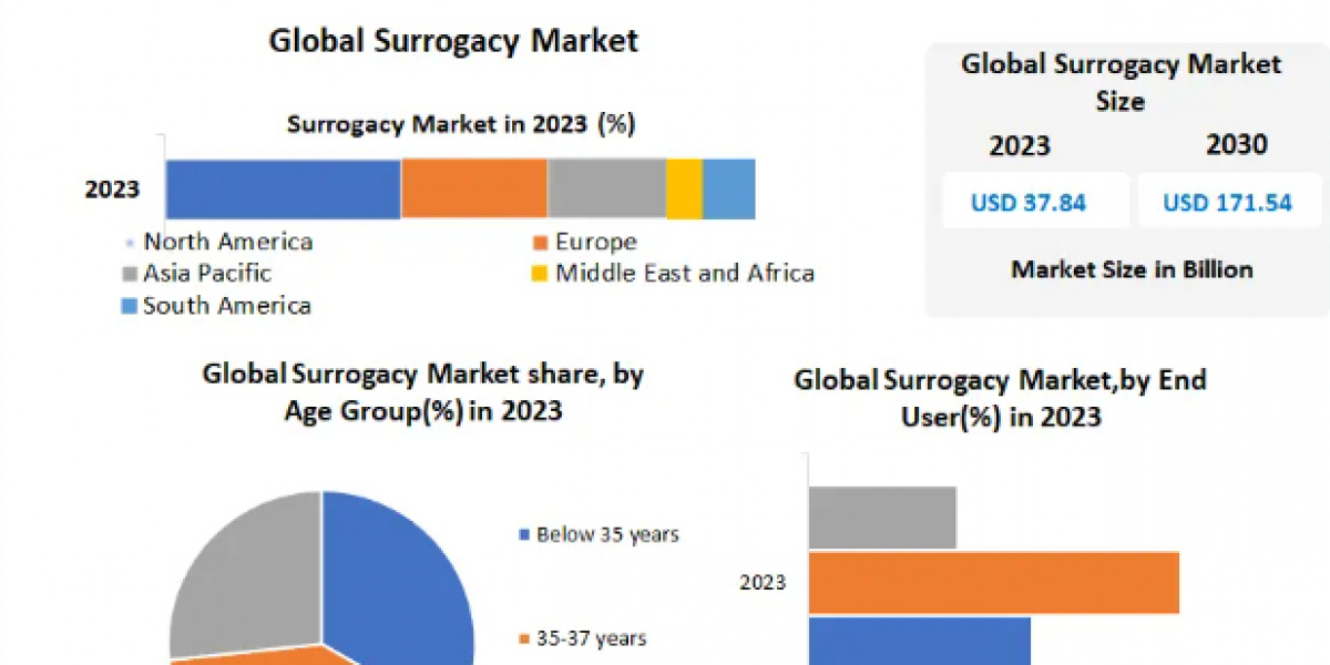 Surrogacy Market Development Trends, Competitive Landscape and Key Regions 2030