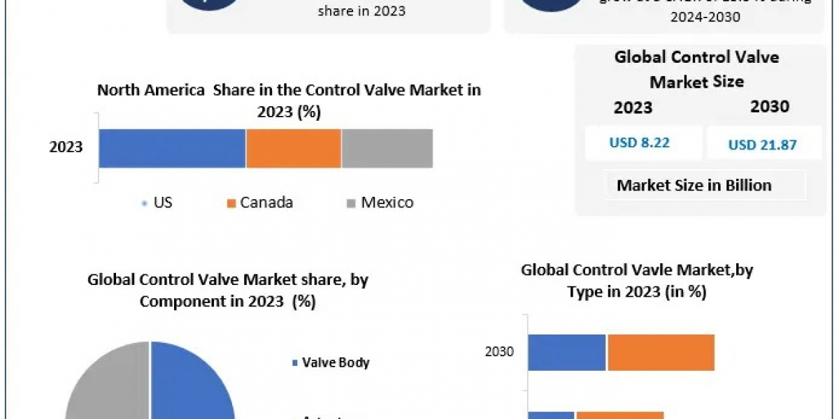 Control Valve Market Comprehensive Overview, Market Dynamics, Future Outlook and Forecast 2030