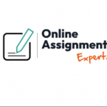 Online Assignment Expert