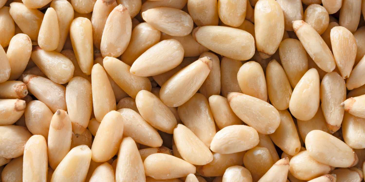 Pine Nut Processing Manufacturing Plant Project Report 2024: Business Plan, Plant Setup, Cost and Revenue