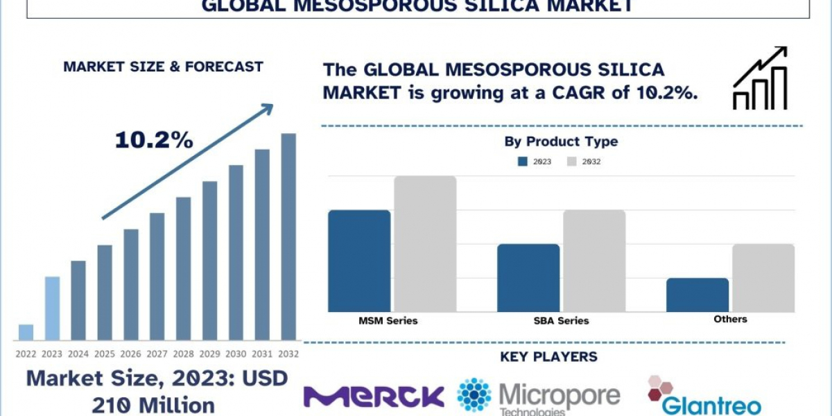 Mesoporous Silica Market: Progressive Escalation in North America