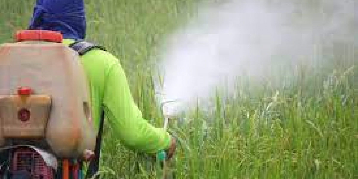 Synthetic vs Bio-Insecticides Market Growth & Forecast 2030