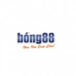 Bong88 Hub