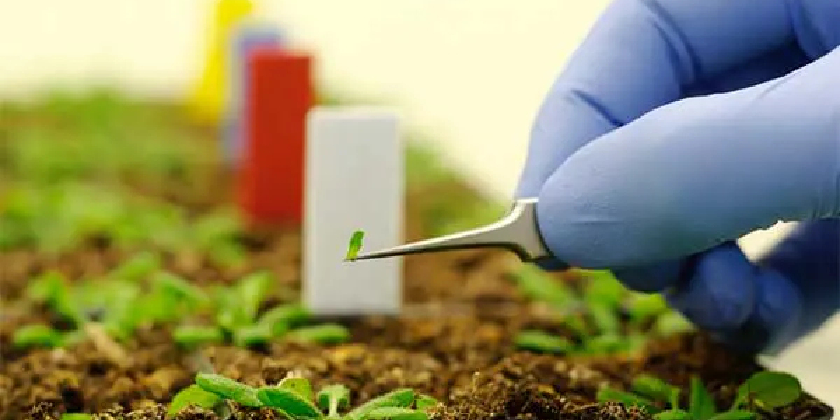 Agricultural Nanotechnology Market 2023: Global Forecast to 2032