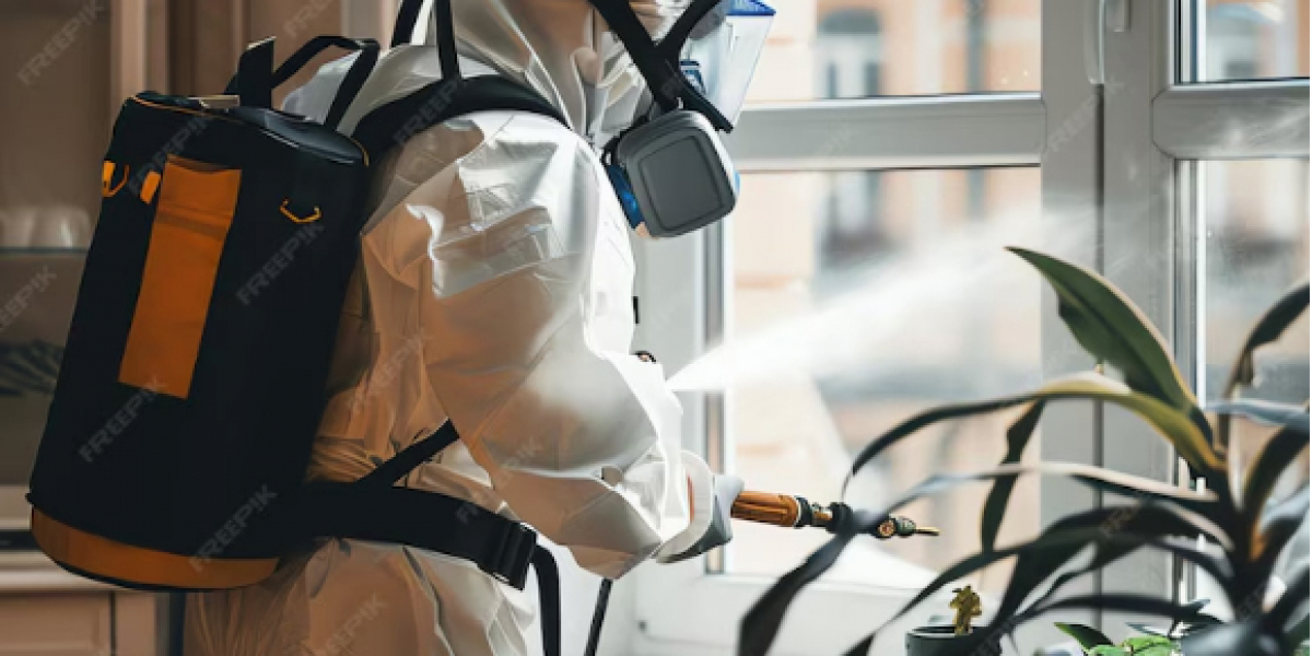 Why Professional Pest Control Could Be the Secret to a Healthier Home