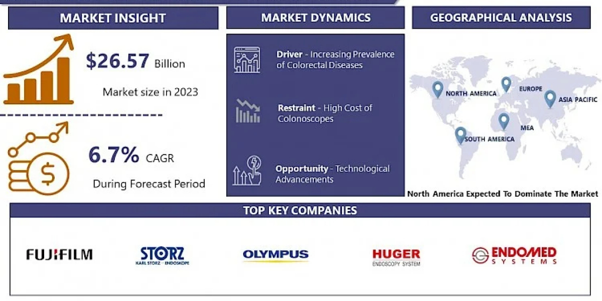 Colonoscope Video Endoscope Market: The Next Wave of Growth