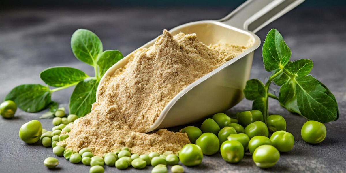 Pea Protein Market Size, Share And Trend Report 2023 - 2033