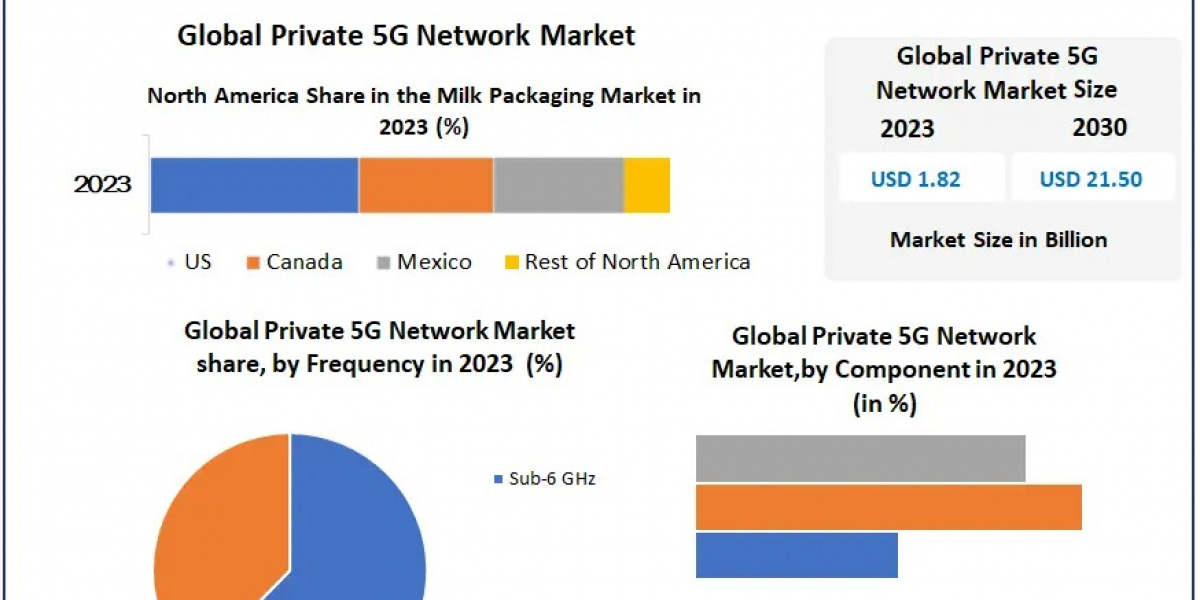 Private 5G Network Market Outlook, Research, Trends, Share, Size, Segmentation with Competitive Analysis and Forecast 20