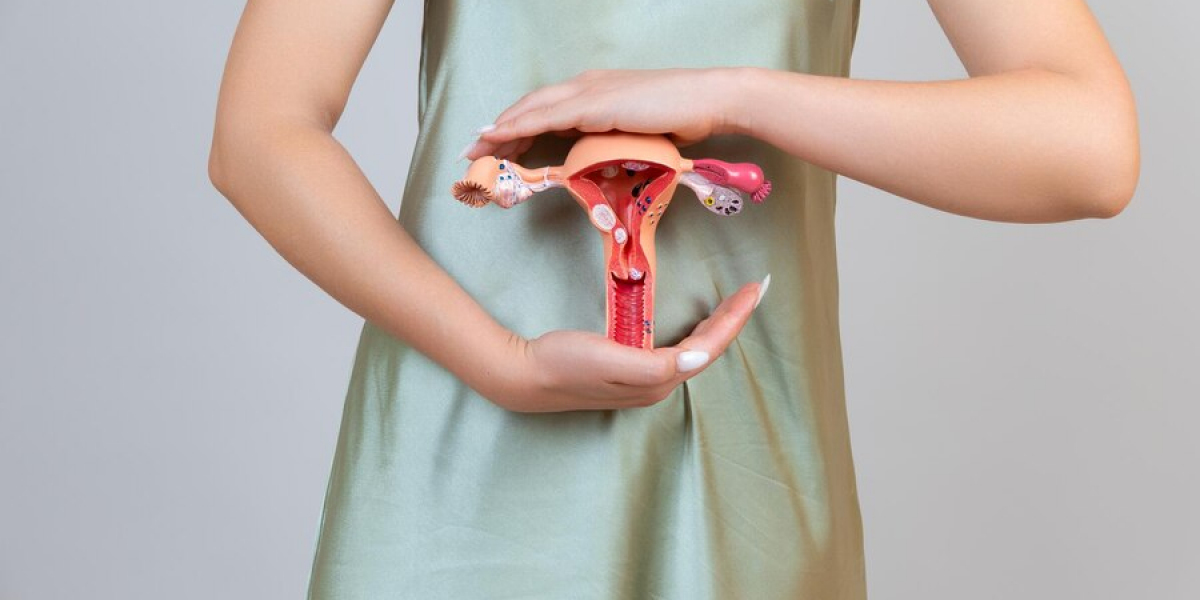 Comprehensive Analysis of the Global Endometriosis Treatment Market