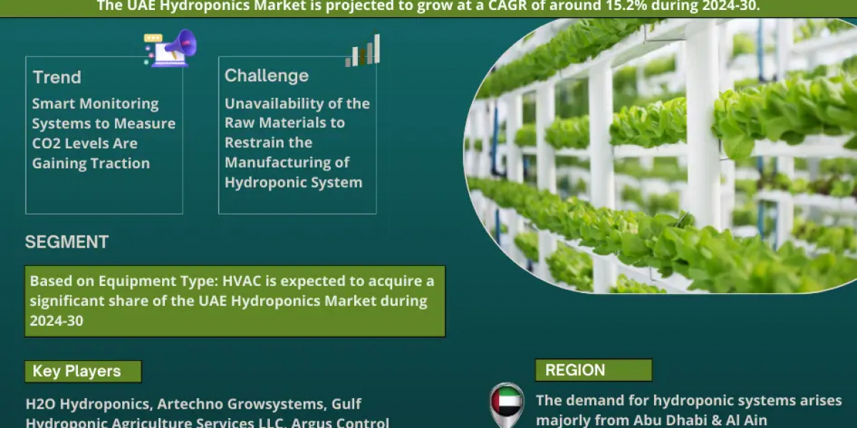 UAE Hydroponics Market Size, Share, Top Players- 2030| MarkNtel