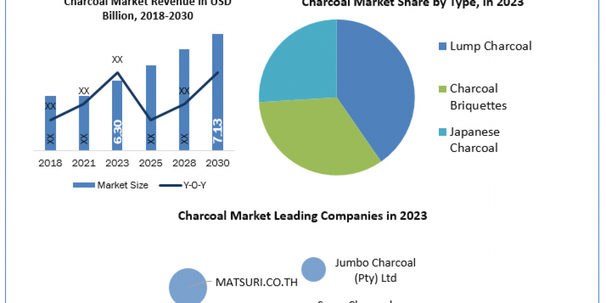 Charcoal Market Metrics Matrix: Exploring Size, Share, Revenue, and Statistics Overview  2024-2030