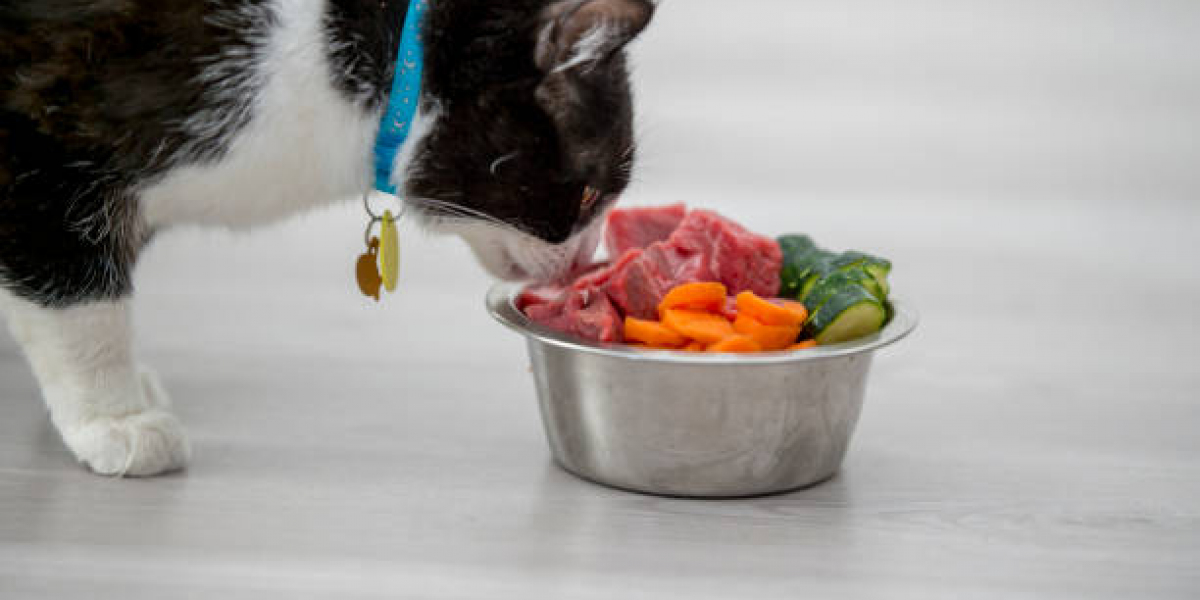 Veterinary Therapeutic Diet Market Size, Share, Report 2024-2032