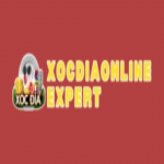 Xóc đĩa online Expert