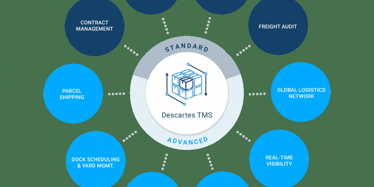 Transportation Management System Market Size, Share & Analysis [2032]