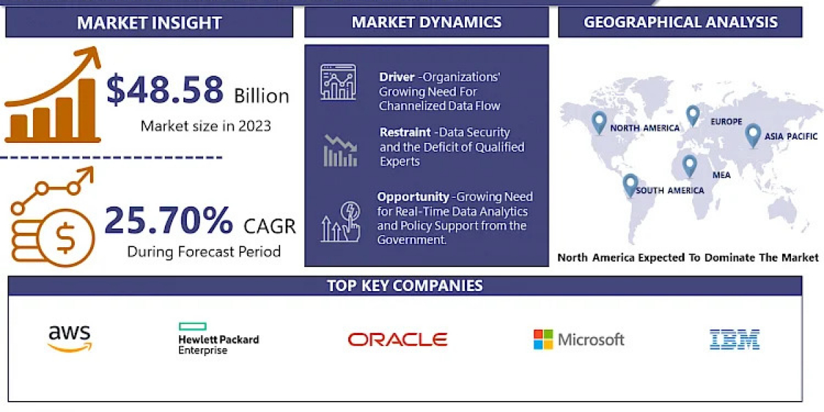 2024-2032 Big Data as a Service Market: Future Trends and Growth Opportunities