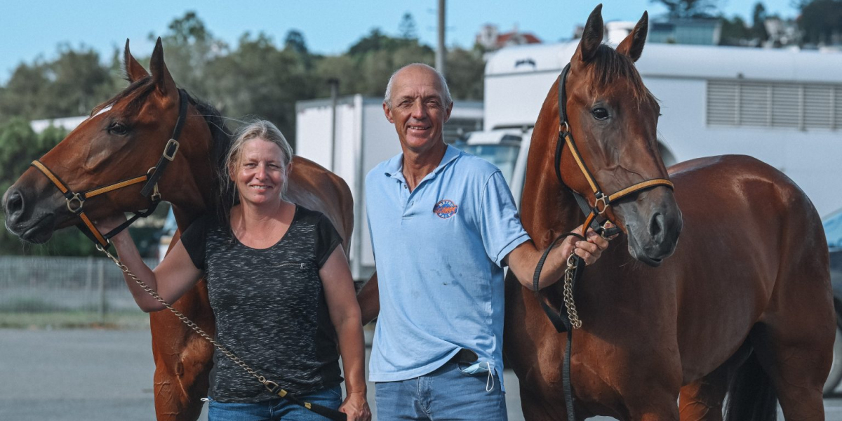 harness racing in brisbane