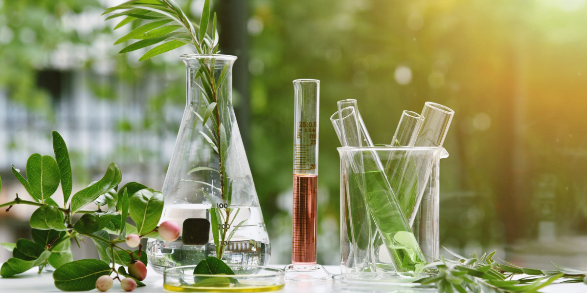 Natural & Organic Cosmetics Manufacturing Plant Report 2024: Project Details, Machinery, and Cost Involved