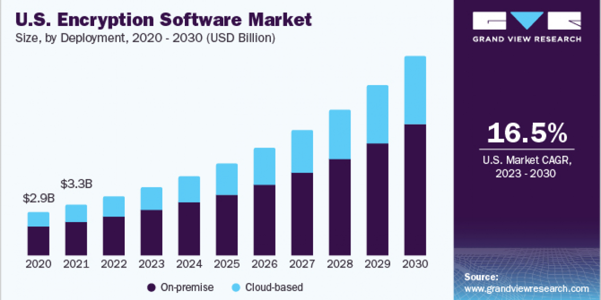 Encryption Software Market 2030: Challenges and Solutions for Enterprises