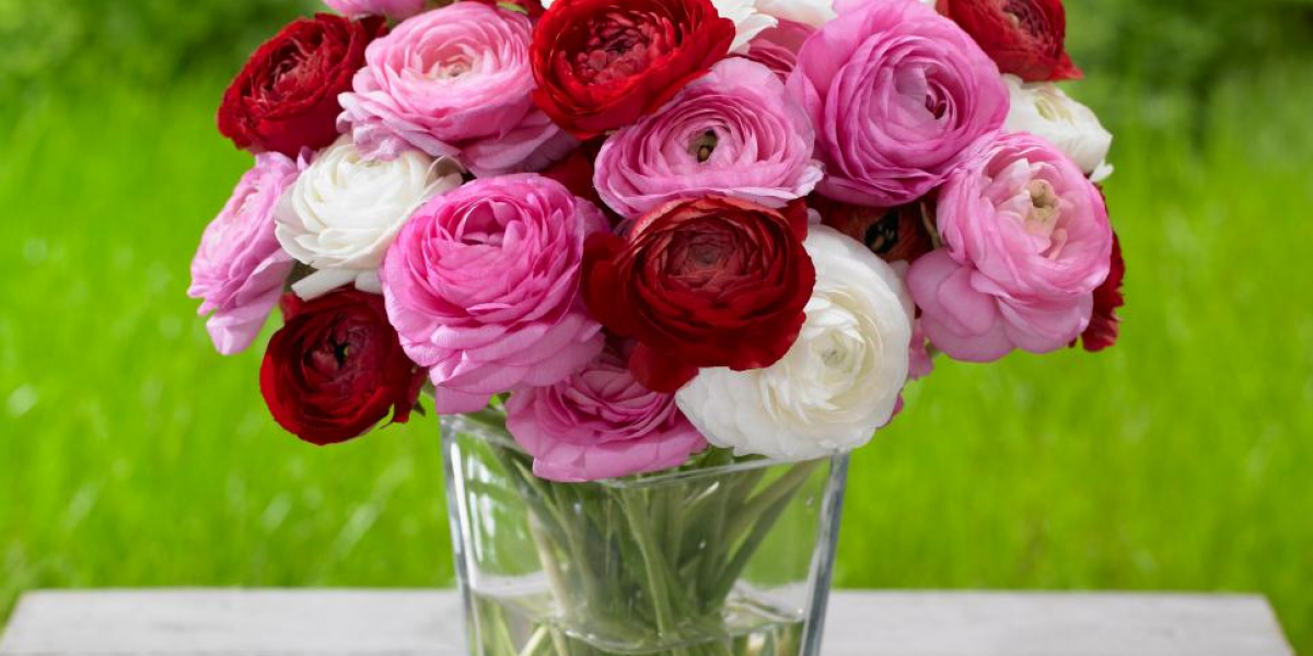 Global Cut Flowers Market Size, Share, Analysis and Forecast 2022 – 2032.