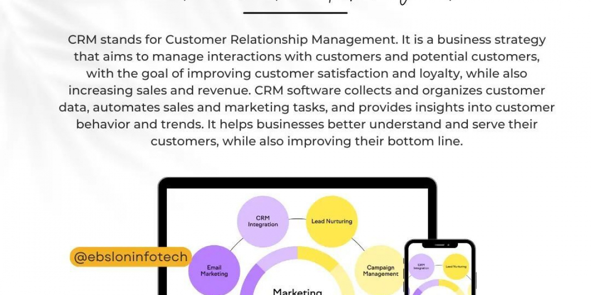 CRM Software Development in Delhi