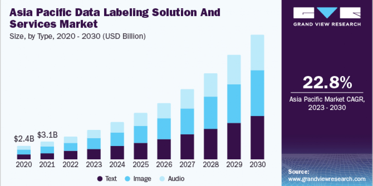 Data Labeling Solution And Services Market 2030: Challenges and Solutions in Data Annotation