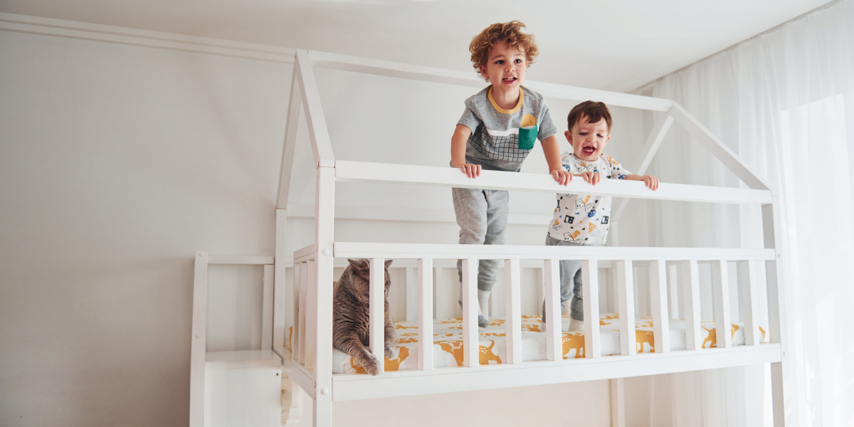 5 Killer Quora Answers On Best Bunk Beds For Teens