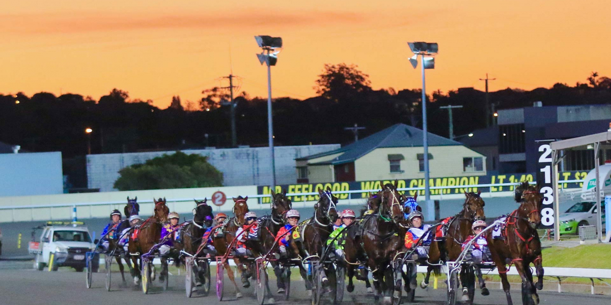 live harness racing in brisbane