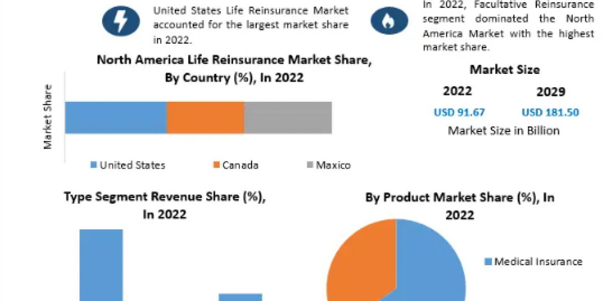 North America Life Reinsurance Market current and future demand 2029