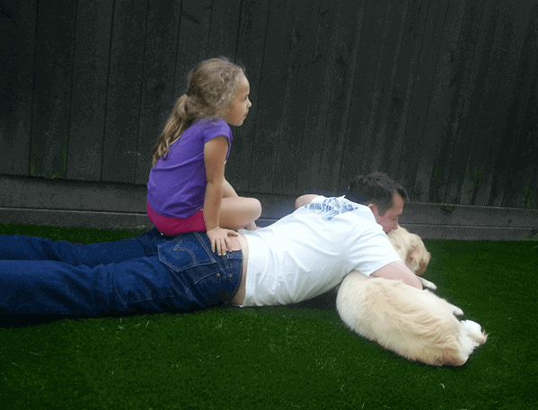 Dog-Friendly Artificial Turf & Pet Turf in Houston, TX