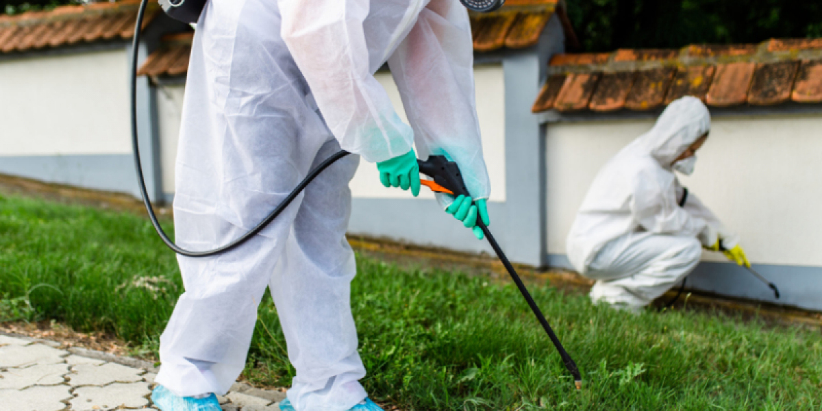 Effective Animal Control in Montgomery County, Texas: Ensuring Safety and Hygiene