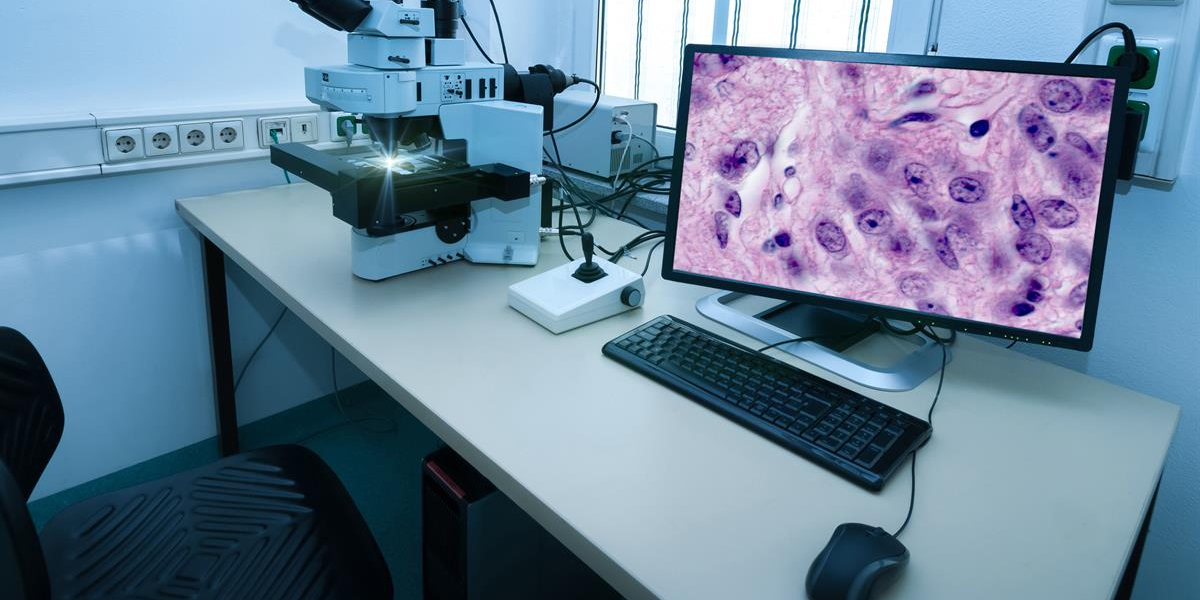 Pathological Microscopes Market to Witness Robust Growth Driven by Rising Disease Prevalence