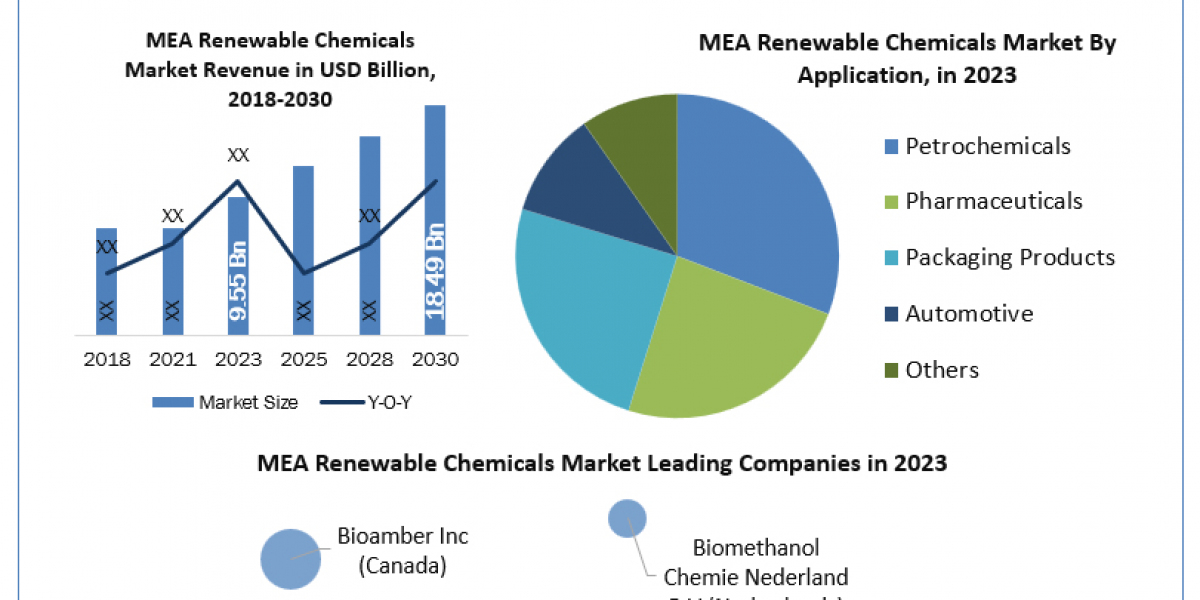 MEA Renewable Chemicals Industry Size, Unlocking Growth Opportunities and Forecast for 2024-2030