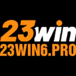 23WIN Pro