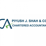 Piyush J Shah Company