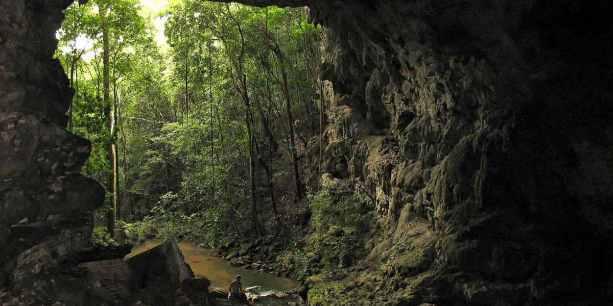 Beyond the Surface: Discover the Intriguing Depths of Earth’s Greatest Caves