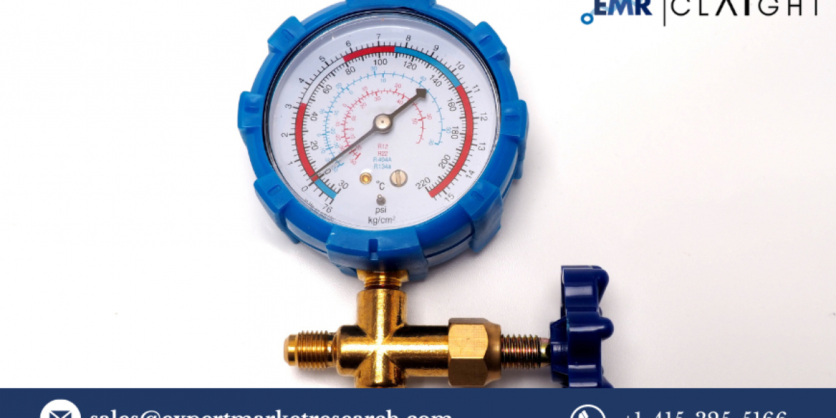 Global Pressure Gauge Market: A Comprehensive Overview