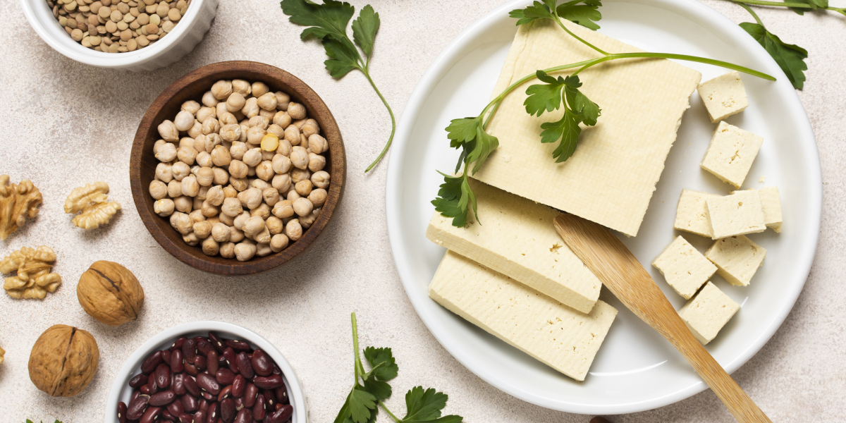 Exploring the Global Vegan Cheese Market: Size, Trends 2023-2033