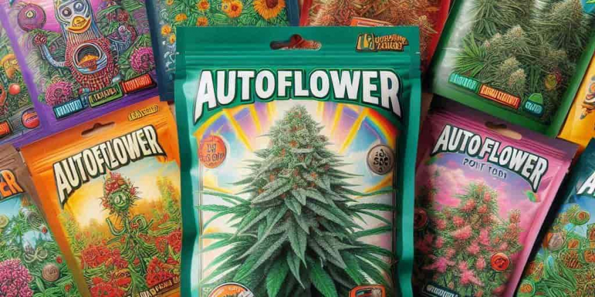 Why You Should Buy Feminized Seeds in Montana