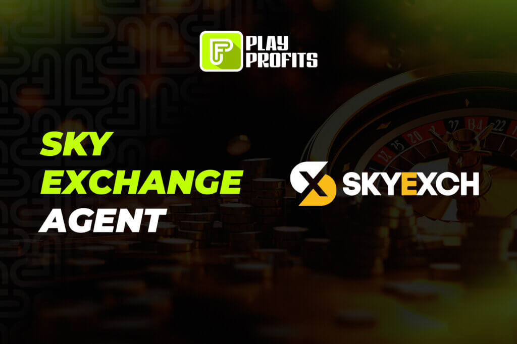 Sky Exchange Agent: Responsibilities, Benefits, & Challenges