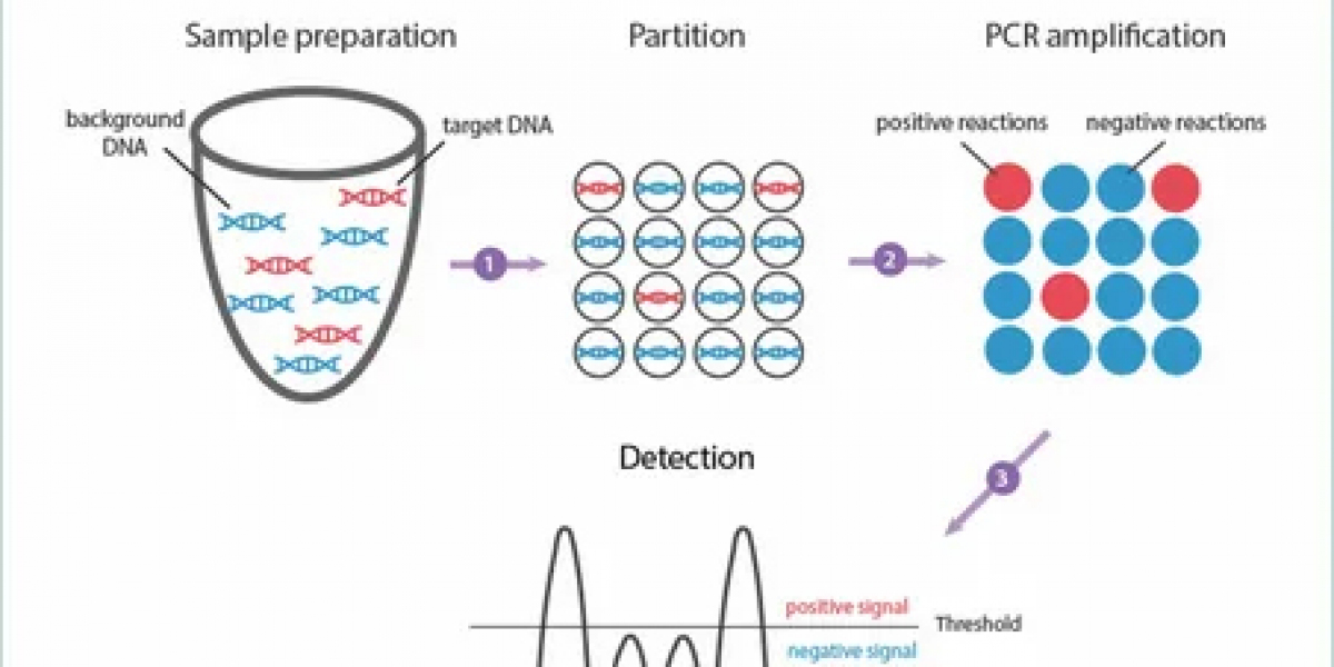 Digital PCR Market to Develop New Trend and Growth Story