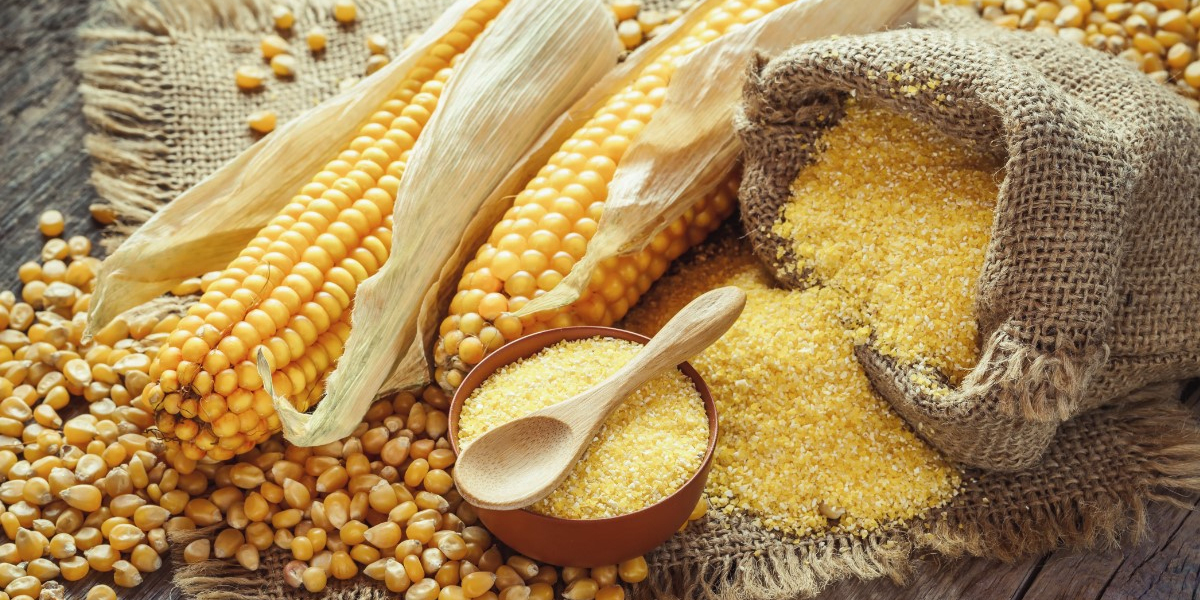 Maize Processing Plant, Detailed Project Report, Business Plan, Manufacturing Process, Raw Materials, Cost and Revenue