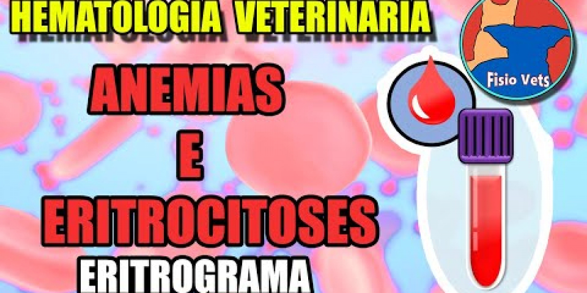 O Preço do Cuidado: Entenda o Custo do Eletrocardiograma Veterinário para Seu Pet