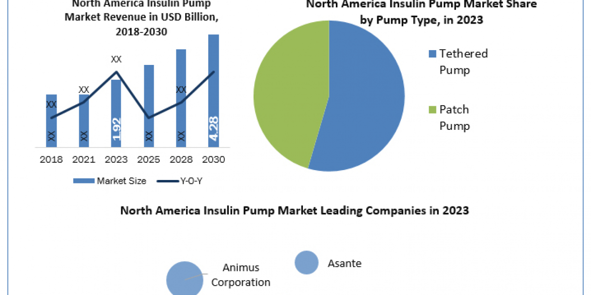 North America Insulin Pump Industry Size, Unveiling Growth Potential and Forecasted Outlook for 2024-2030